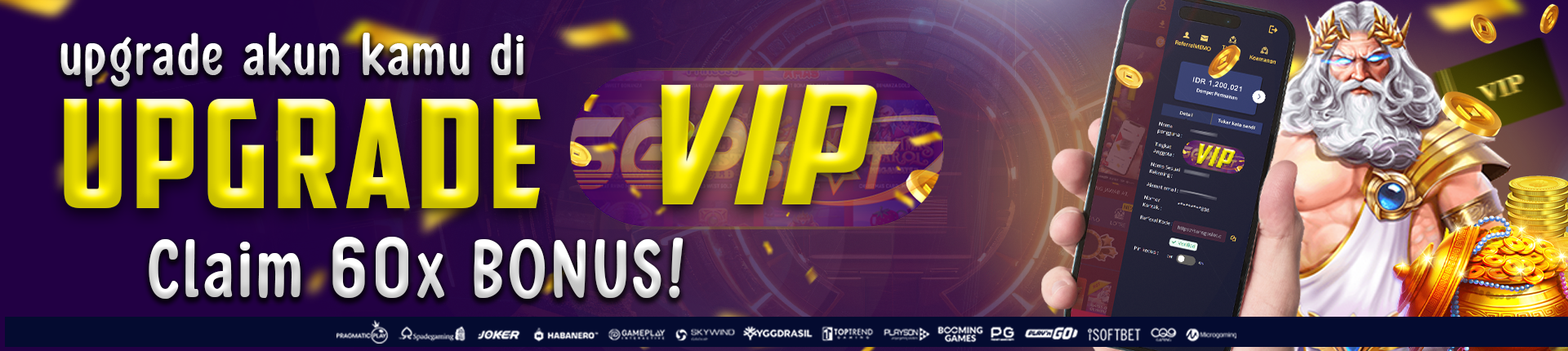 UPGRADE VIP